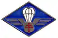 Insigne de la 1re compagnie de chasseurs parachutistes.