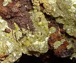 Image illustrative de l’article Iodargyrite