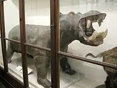 Hippopotame de Boboli.