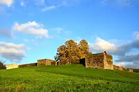 Fort d'Irgenhausen (de) (Suisse).