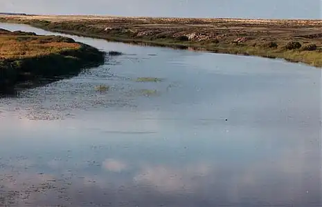 L'Ichim dans la steppe kazakhe aux environs de Derjavinsk, à quelque 400&nbsp;kilomètres à l'ouest d'Astana.
