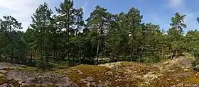 Iso Vasikkasaari.