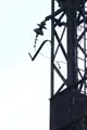 Isolateur sur le mât nord du fil guide est