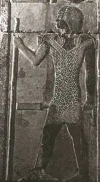 Image illustrative de l’article Iynefer