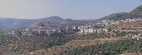 Cabra del Santo Cristo
