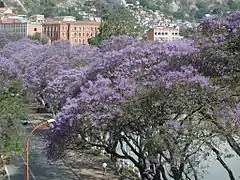 Bord du Lac Anosy à Antananarivo.