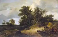 Maison partiellement cachée par un bosquet d'arbres au milieu d'une dune.