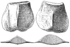 Illustration d'un prételson gris sur fond blanc.