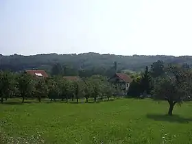 Jakovlje (Aleksinac)