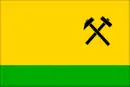 Drapeau de Janov