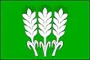 Drapeau de Janovice