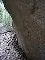 Photo couleur : gros plan d'un bloc rocheux de couleur brune, soutenu par des bouts de bois (à droite), et d'un chemin pierreux de montagne (à gauche), une forêt en arrière-plan (partie gauche).