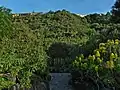 Vue d'ensemble.