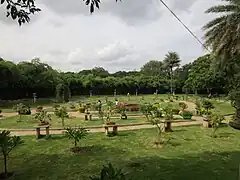 Jardin de bonsaïs.