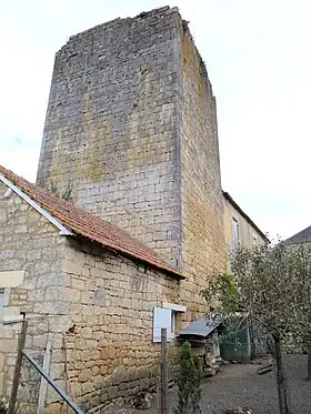 Le donjon.