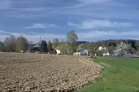 Jedlany