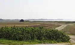 Prairie sur l'île.