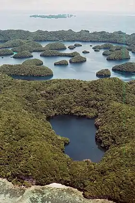 Vue aérienne d'une petite partie des îles Chelbacheb avec le lac aux Méduses au premier plan et les Ngerukewid dans le lointain.