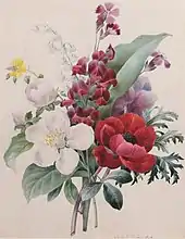 Aquarelle er crayon noir sur vélin représentant une jetée de fleurs comprenant du muguet, des capucines et un bouton d'or.