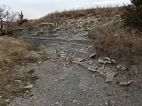 Image illustrative de l’article Formation de Greenhorn