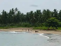 Plage.