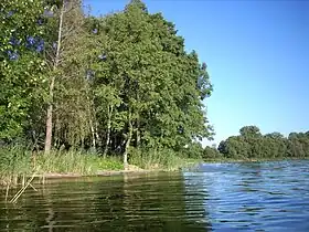 Mikorzyn (Konin)