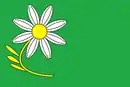 Drapeau de Jilem