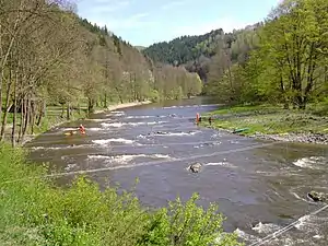 La Jizera à Kamenice.