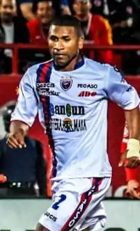 Image illustrative de l’article Jorge Guagua