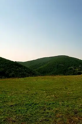 Žegovačka Vrbica