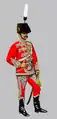 Garde du corps royale hongroise en service de Cour