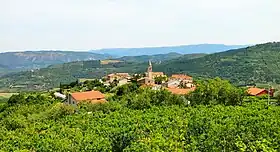 Kaldir
