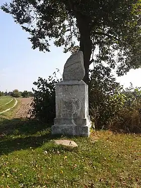Kopytowa