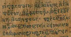 Texte sanskrit sur écorce de bouleau (XVIIe&nbsp;siècle)