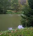 Vue sur le Katzsohlteich