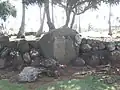 Autel du heiau de Hauola.