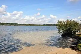 Berges du lac de Rauw