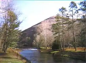 Kettle Creek dans le parc d'Ole Bull.