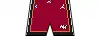 Statement shorts