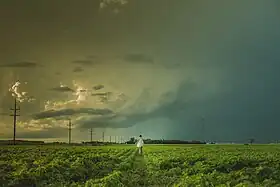 Niverville (Manitoba)