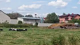 Kliczewo Małe