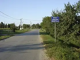 Kneževi Vinogradi