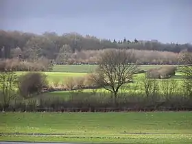 Köthel (Stormarn)
