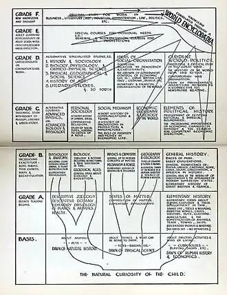 Tableau articulant différents types de connaissance avec schéma d'arbre.