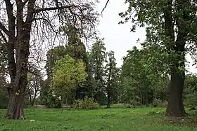 Kołomia (Łódź)