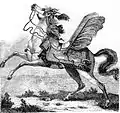 Cheval de hussard.