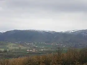 Koprivnica (Kosovska Kamenica)