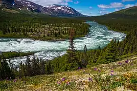 Rivière Koroc