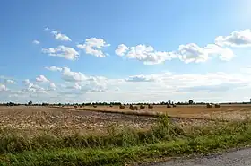 Zgoda (Łanięta)
