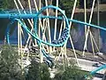 Cobra Roll.